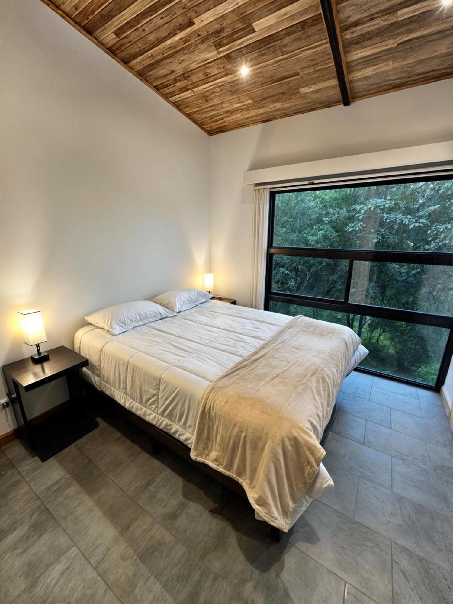 Moon Forest Apartments Monteverde Exteriér fotografie