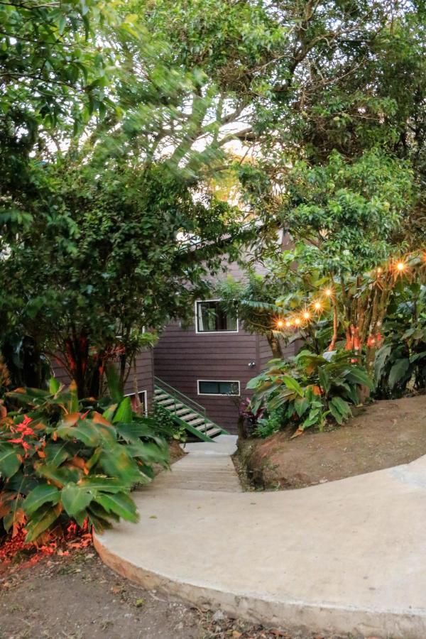 Moon Forest Apartments Monteverde Exteriér fotografie