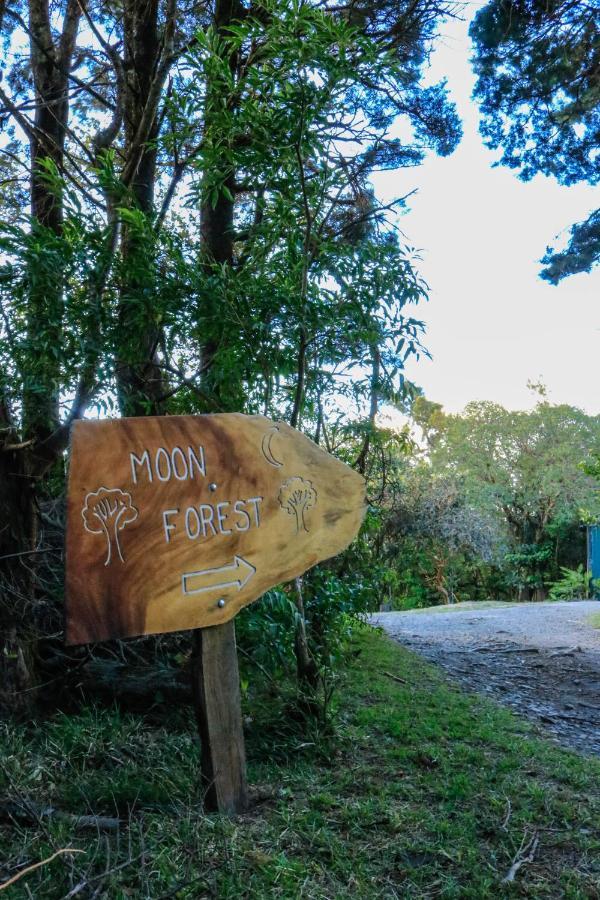Moon Forest Apartments Monteverde Exteriér fotografie