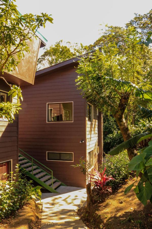 Moon Forest Apartments Monteverde Exteriér fotografie