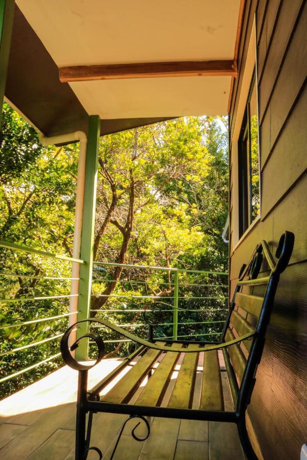 Moon Forest Apartments Monteverde Exteriér fotografie