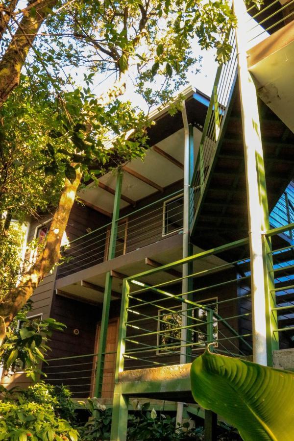 Moon Forest Apartments Monteverde Exteriér fotografie