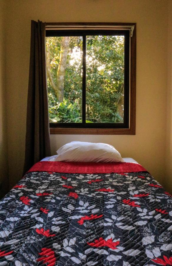 Moon Forest Apartments Monteverde Exteriér fotografie
